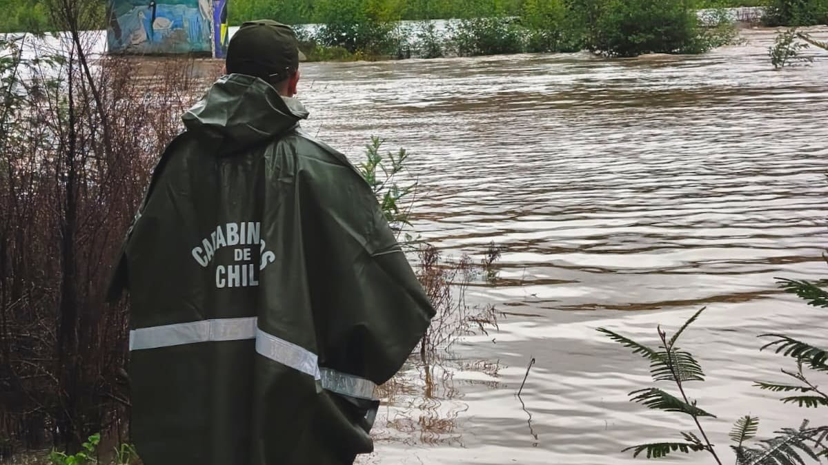 Se activaron nuevas Alertas Amarillas en las regiones del Biobío y del Maule, por crecidas del estero Paillihue y río Mataquito