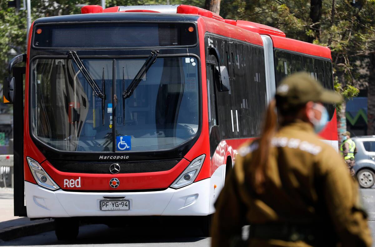 Nuevos recorridos para el transporte público Red: ¿Por dónde pasarán los buses 445c y 420?