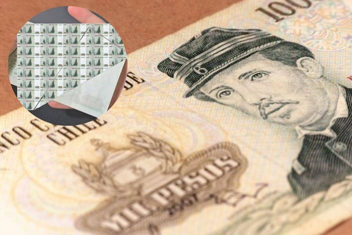 Coleccionista reveló la particularidad de esta pieza.
Créditos: Diario de Valdivia/IG @erro_coins_chile.