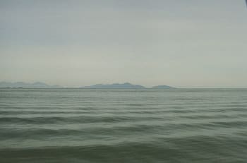 ¿Vida extraterrestre?: Destacan misterioso objeto hallado en el fondo del Océano Pacífico