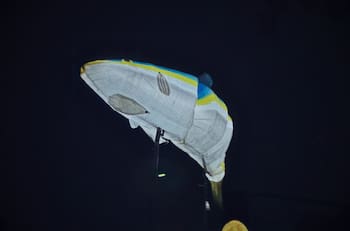 Peces inundan Santiago: Panorama gratuito e imperdible durante enero en la Región Metropolitana