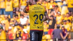 “Ya no regresa”: El golpe al mercado que la U cocina a fuego lento