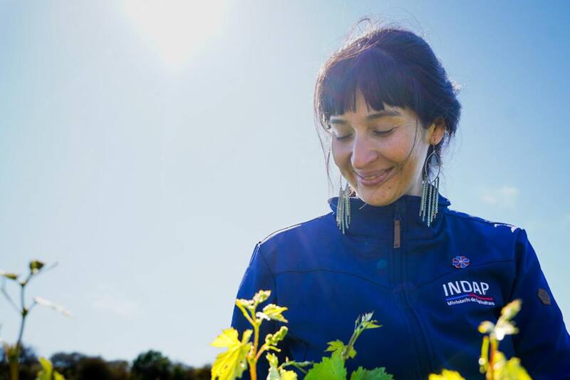 Conoce los empleos que tiene disponibles el INDAP.