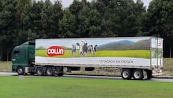 Colun publicó nuevas ofertas de empleo: busca trabajadores en diferentes regiones del país