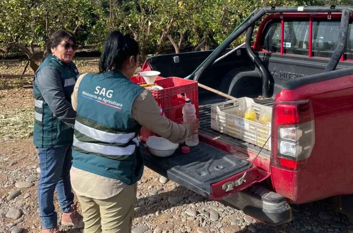 ¿Buscas trabajo?: SAG tiene vacantes y ofrece sueldos desde $1.400.000
