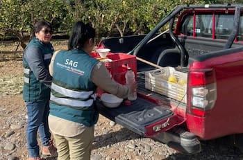 ¿Buscas trabajo?: SAG tiene vacantes y ofrece sueldos desde $1.400.000