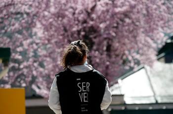 Los sueldos superan el millón: Conoce los empleos disponibles en el SERVEL