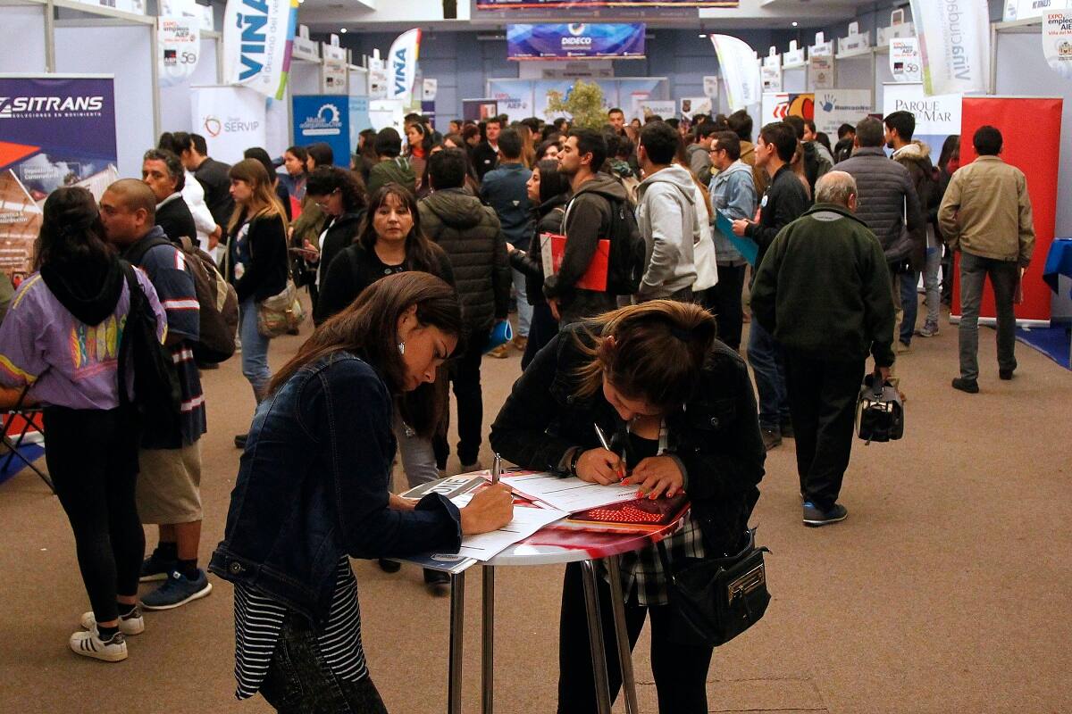 En el sector público, como privado, se están abriendo nuevas vacantes.