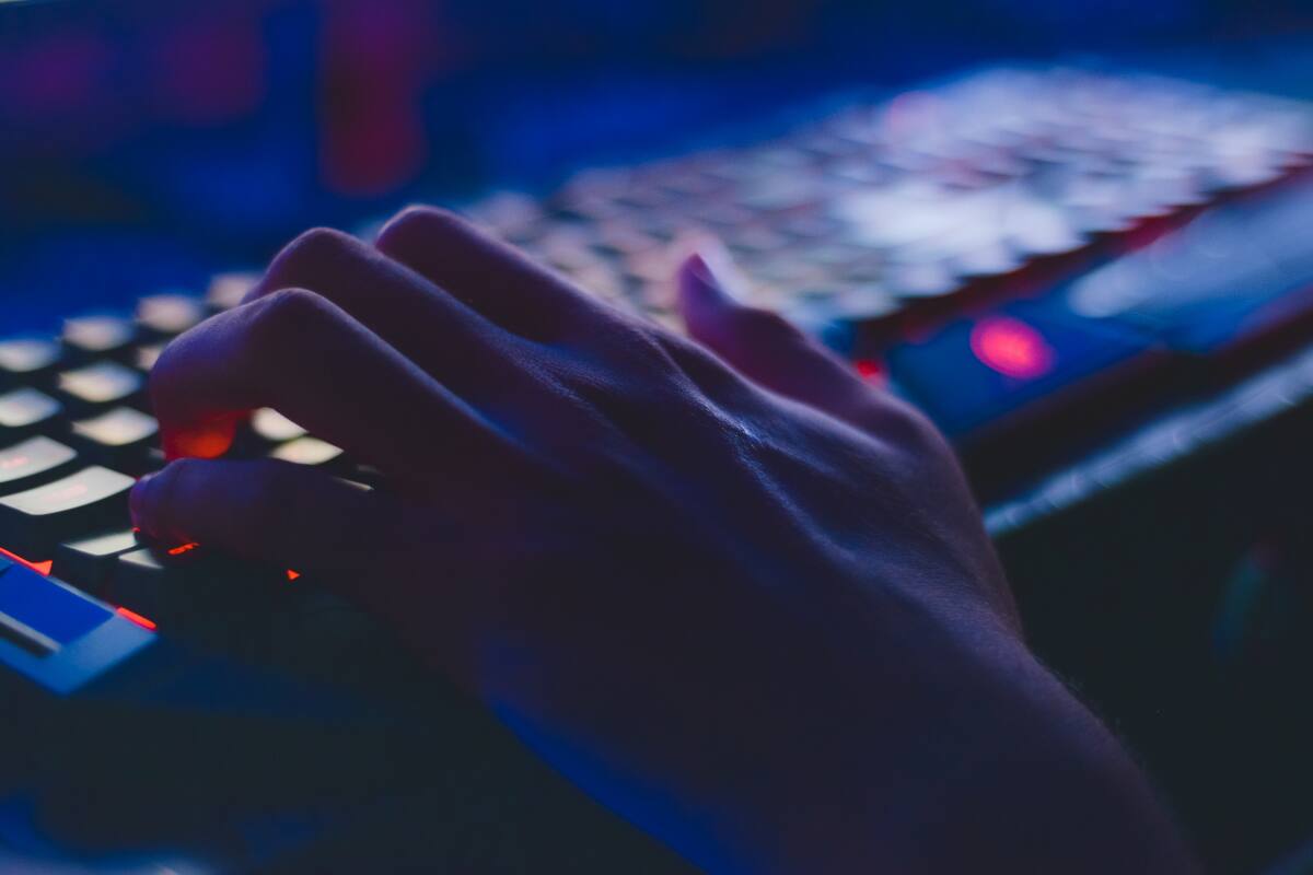 Consejos para evitar caer en falsas ofertas de trabajo por internet. Créditos: Pexels