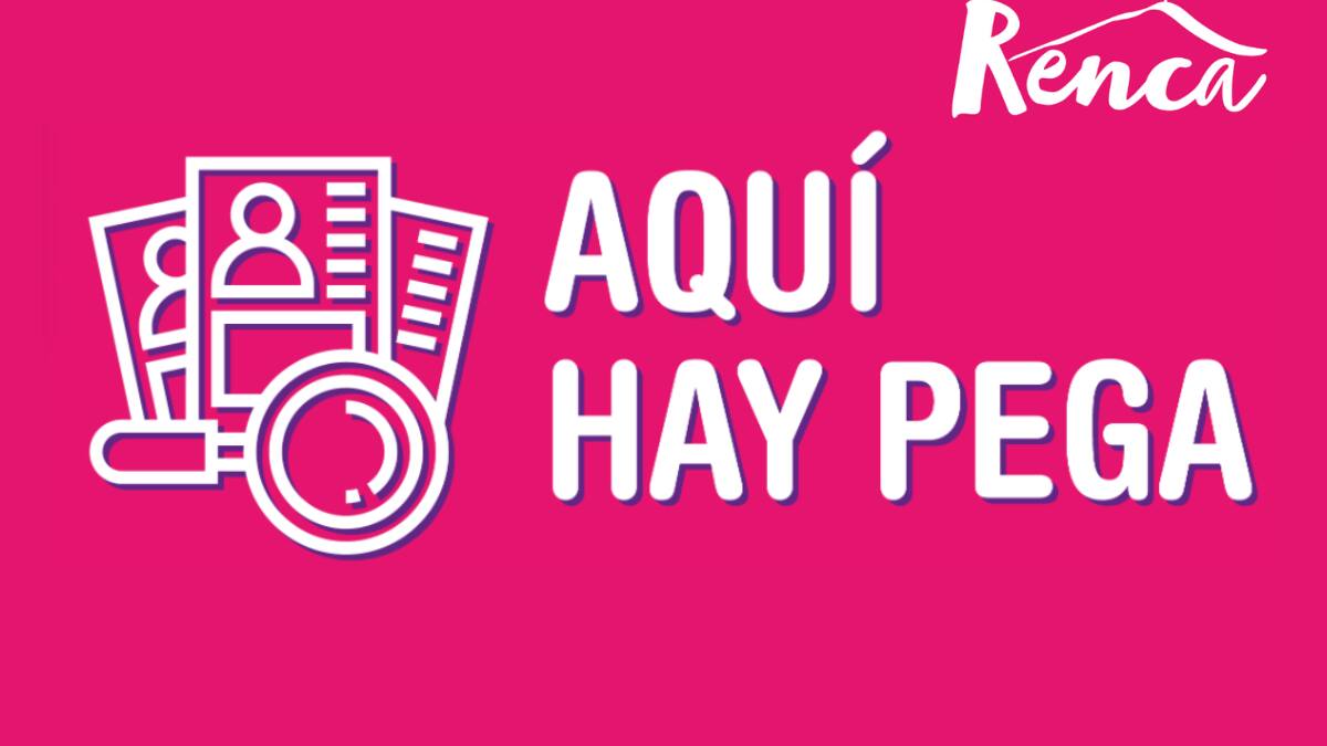 Con sueldos desde $500.000: Municipalidad de Renca tiene nuevas ofertas laborales