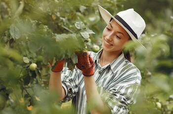 Hay más de 5.000 ofertas laborales en el sector agrícola: sueldos pueden llegar a $900.000 y así se puede postular