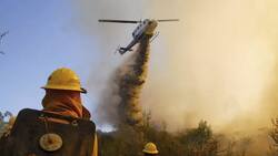 Ola de calor extremo: autoridades combaten SIETE incendios forestales este sábado