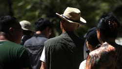 Tras heladas de hasta -4°: nueva ola de calor llega a la Región Metropolitana