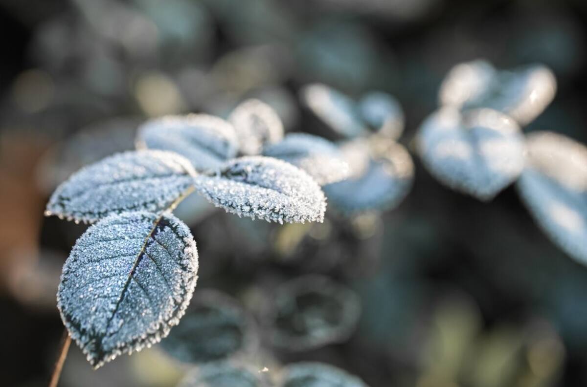 Hasta -13 grados: Ola de frío afectará a estas regiones de la zona centro y sur del país