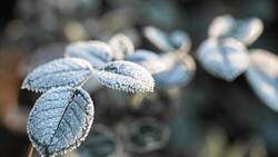 Hasta -13 grados: Ola de frío afectará a estas regiones de la zona centro y sur del país