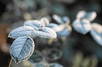 Hasta -13 grados: Ola de frío afectará a estas regiones de la zona centro y sur del país