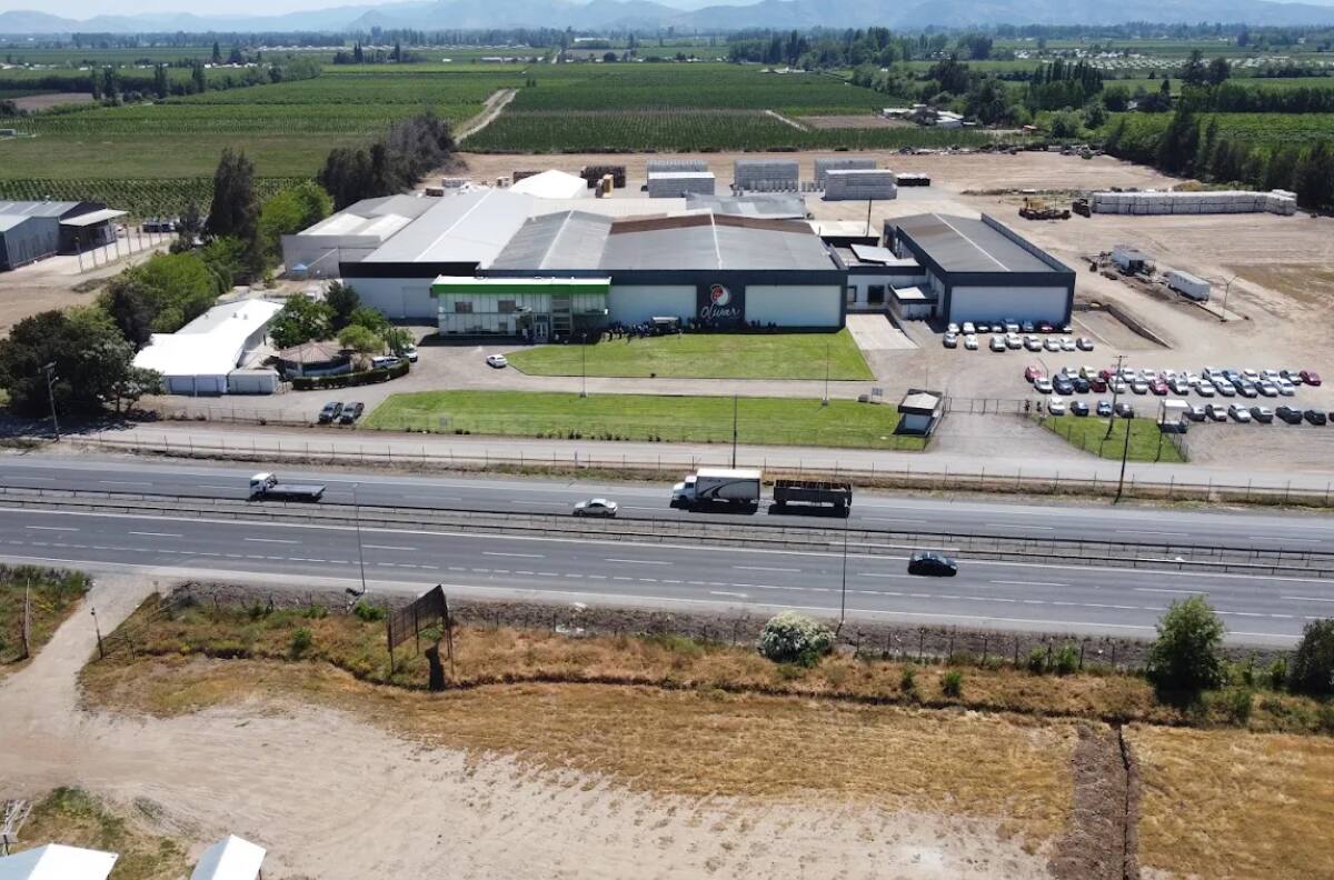 Dos exportadoras agrícolas se van a quiebra forzosa en medio de demandas por estafa, no pago y apropiación indebida