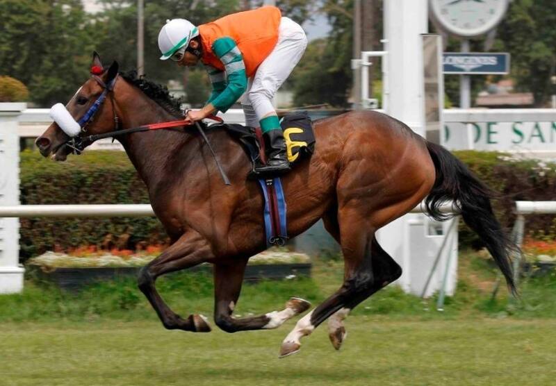 El jockey tiene mucho que mostrar, como la doble Triple Corona y el tetracampeonato en El Ensayo.
