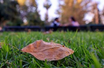 Hoy comenzó oficialmente el otoño: ¿Hasta cuándo durará y cuándo inicia el invierno?