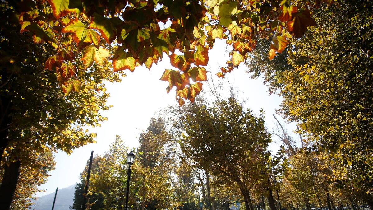 ¿Cuándo empieza el otoño en Chile? La fecha y hora exacta no es la que todos creen
