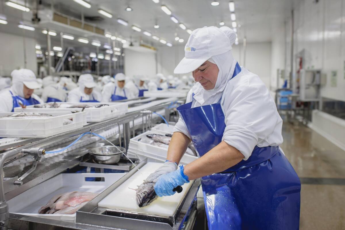La decisión afectará directa e indirectamente a más de 2400 trabajadores.