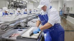 Pesquera chilena anuncia cierre definitivo: Más de 2400 trabajadores perderán su fuente de empleo