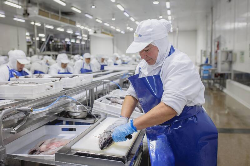 La decisión afectará directa e indirectamente a más de 2400 trabajadores.