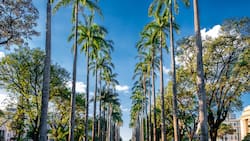 Estos son los países de América Latina con las ciudades más bonitas, según la IA