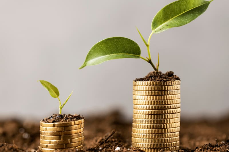 La Inteligencia Artificial eligió cinco para su top.