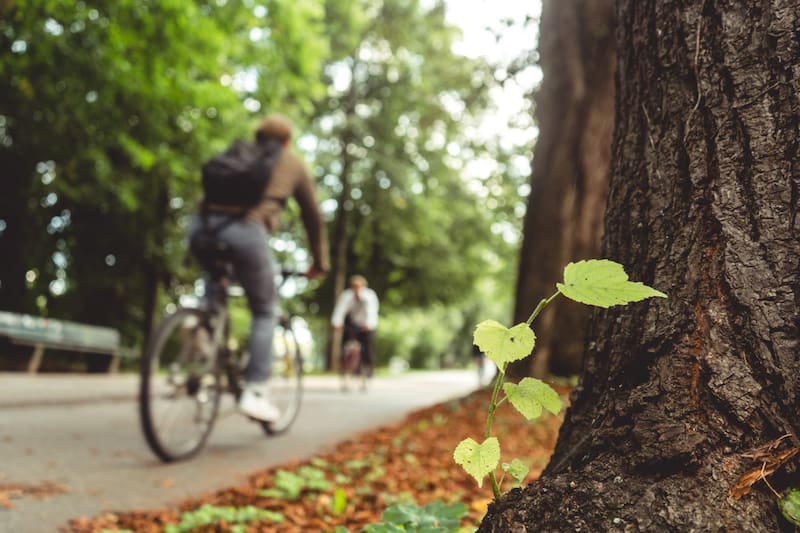 Chile aparece en la lista.