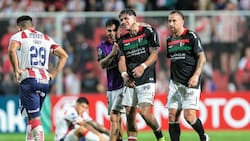 Rompe el molde en el fútbol chileno: la gran clave del “milagro” de Palestino