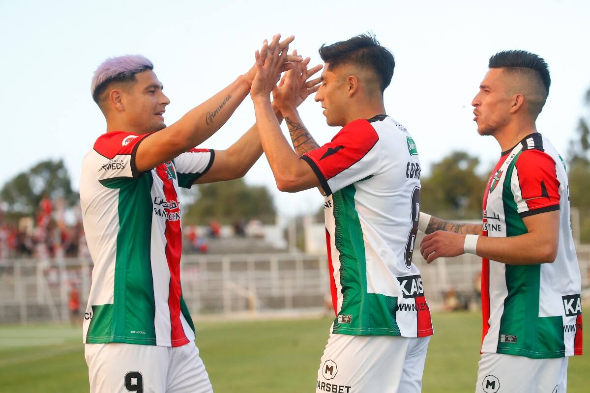 Palestino habría aceptado bajar el aforo para el duelo frente a Cobreloa.