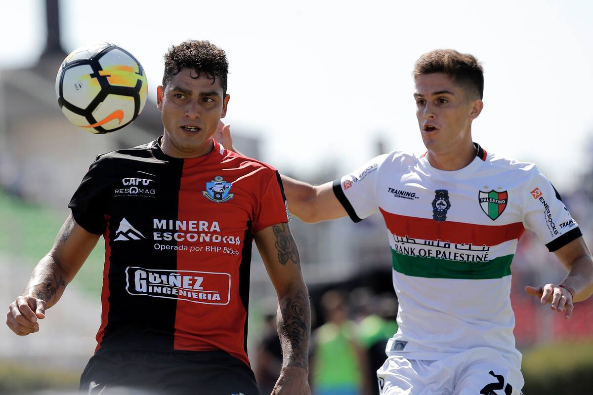 Palestino fue el club donde Guillermo Soto se consolidó como profesional (Foto: Aton)