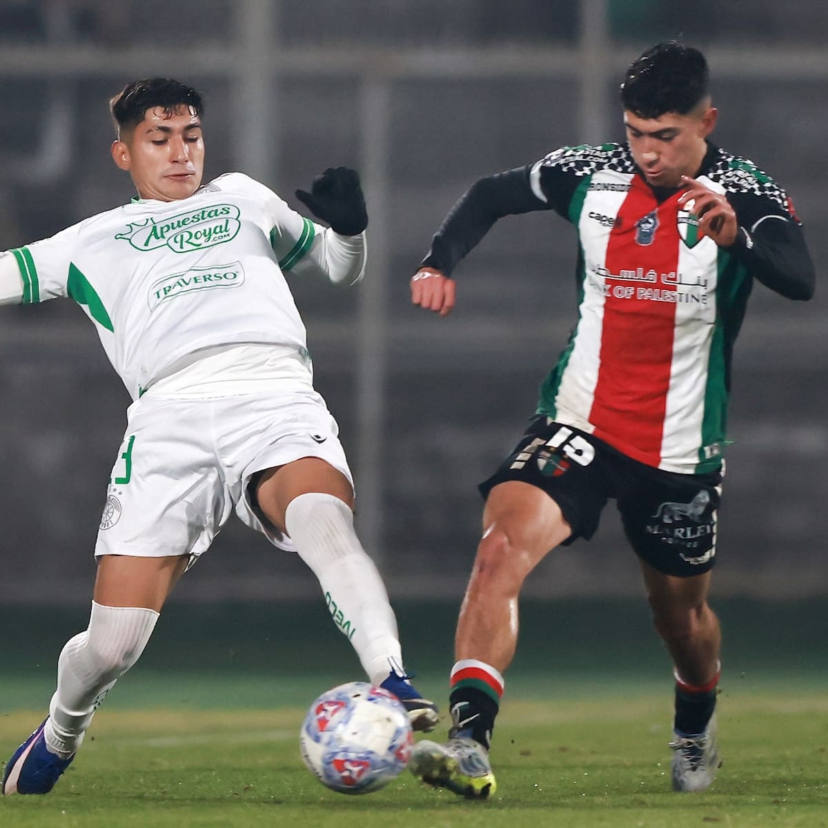 Así quedó la tabla de posiciones de la Liga de Primera tras la fecha 14: Palestino y Audax bajaron el telón