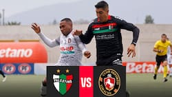 EN VIVO | Palestino vs. Deportes Limache por Primera División 2025: minuto a minuto del partido