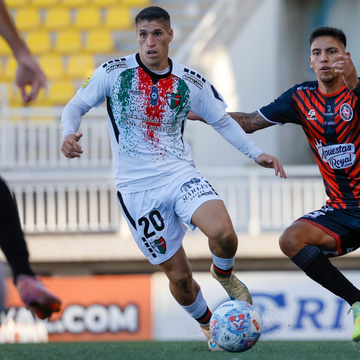 Palestino vs. Deportes Limache: formaciones, a qué hora juegan y dónde ver la fecha 9 de la Liga de Primera