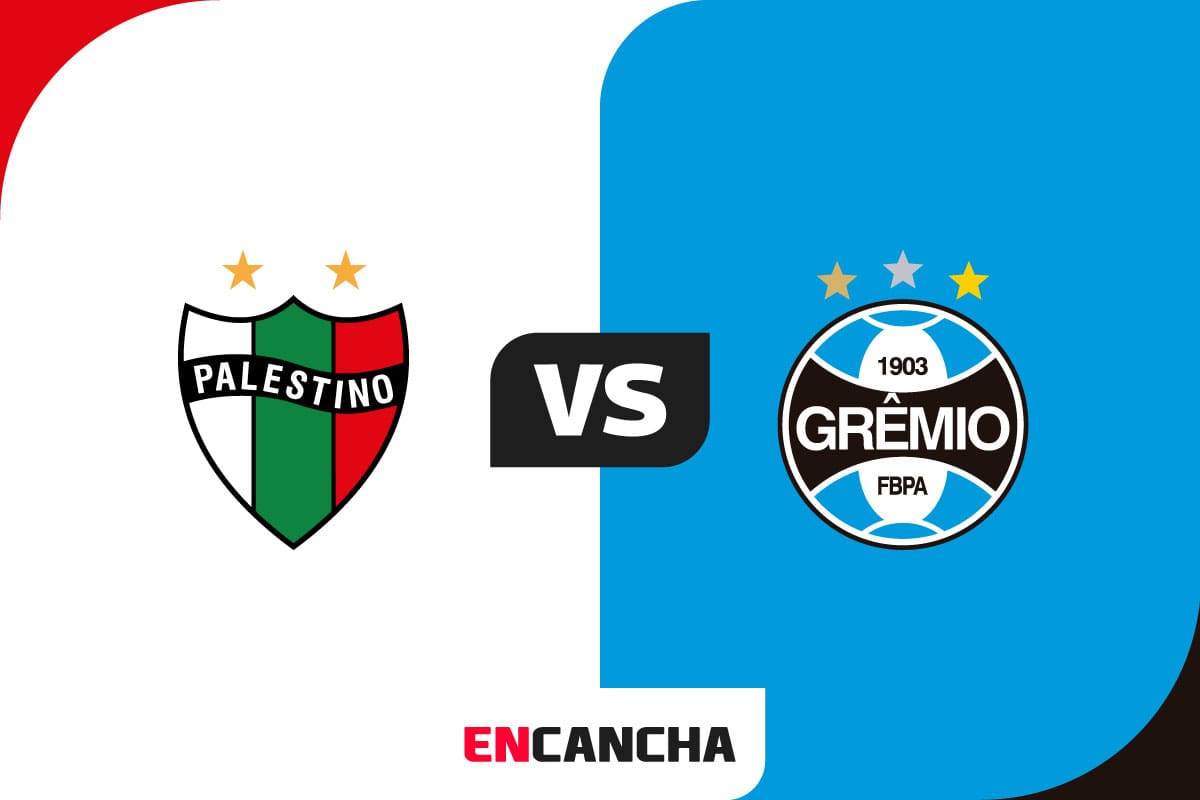 Se enfrentan por la fecha 3 de Copa Sudamericana.