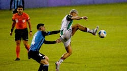 Palestino y Huachipato abren la fecha 30 del fútbol chileno: hora y dónde ver en vivo el partido