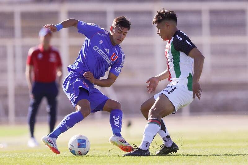Disputarán los Playoffs de Copa Sudamericana.