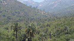 Panoramas: Conoce Palmas de Ocoa, la Reserva Mundial de la Biósfera que está a 90 minutos de Santiago