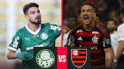 EN VIVO | Palmeiras vs. Flamengo por Copa Libertadores 2025: minuto a minuto del partido