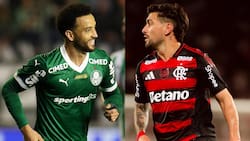 Palmeiras vs. Flamengo: día, hora y dónde ver la gran final de Copa Libertadores