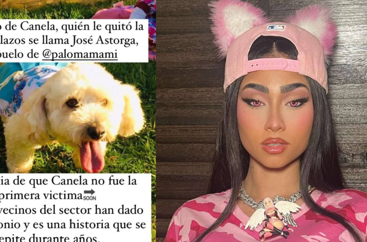 “Un viejo desalmado”: Abuelo de Paloma Mami sería responsable de matar un perro a balazos