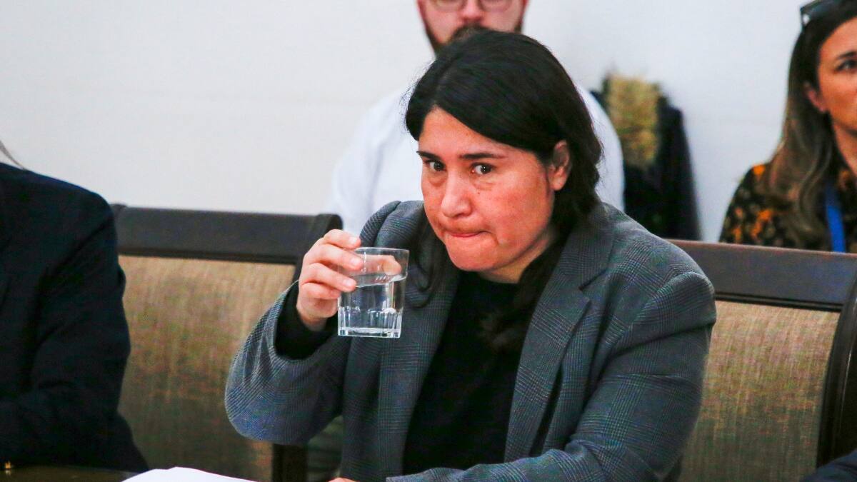 Tras las muertes en el Estadio Monumental: Pamela Venegas renunció a Estadio Seguro
