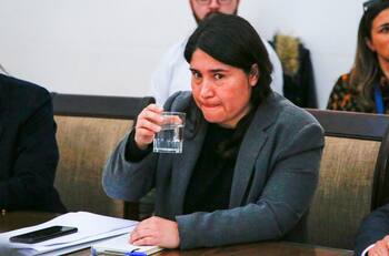 Tras las muertes en el Estadio Monumental: Pamela Venegas renunció a Estadio Seguro