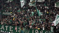 VIDEO | Ya lo quisiera la NBA: hinchas de Panathinaikos y un ambientazo en el clásico ante Olympiakos