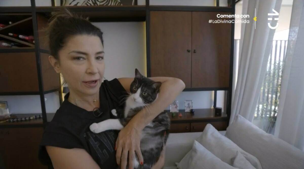 Su gato se salvó del reto tras el desorden de los animales.