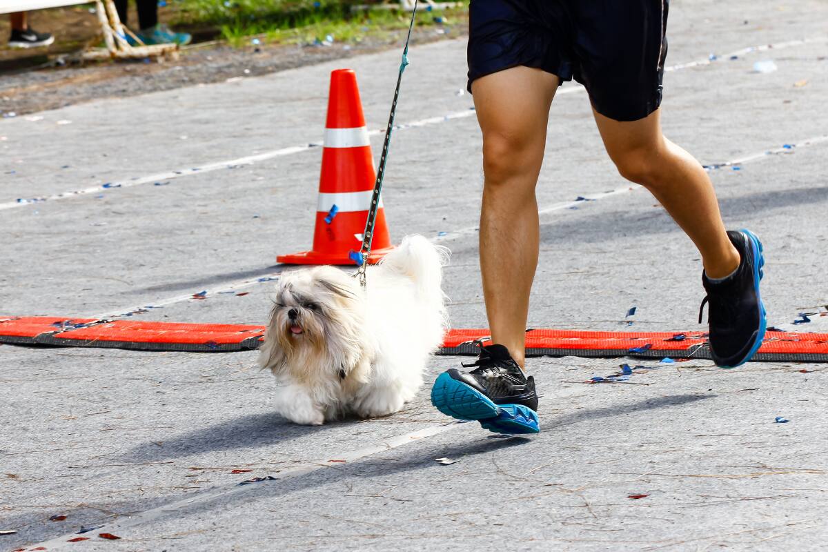 Conoce todo sobre este evento para deportistas con mascotas.