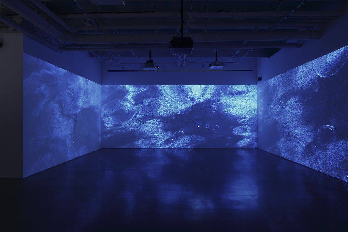 Correspondences: Soundwalk Collective & Patti Smith.
Créditos: GAM.