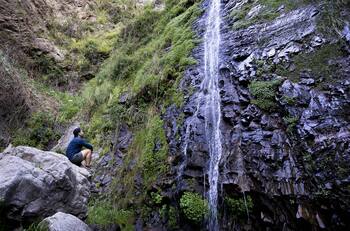 Sin salir de la RM: Este santuario natural con cascadas es ideal para una escapada cerca de Santiago